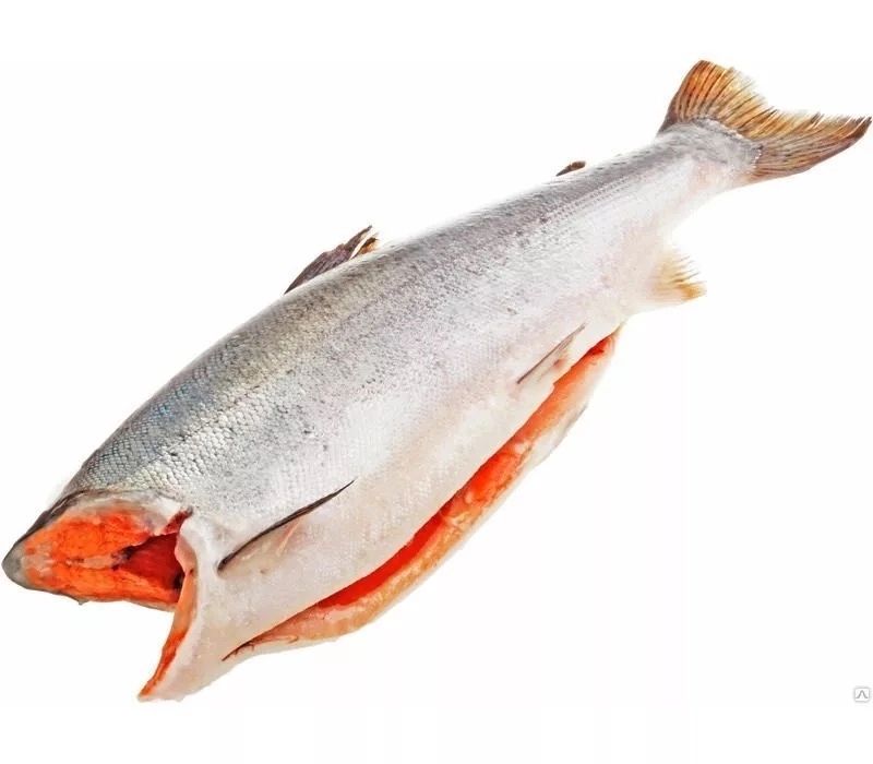 Красная рыба 1 кг. Королевский лосось чавыча. Лосось кижуч. Кижуч рыба свежемороженая. Дальневосточный лосось кижуч.